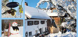 Beispiele Flyer Folder Plakat Karte Banner Logo